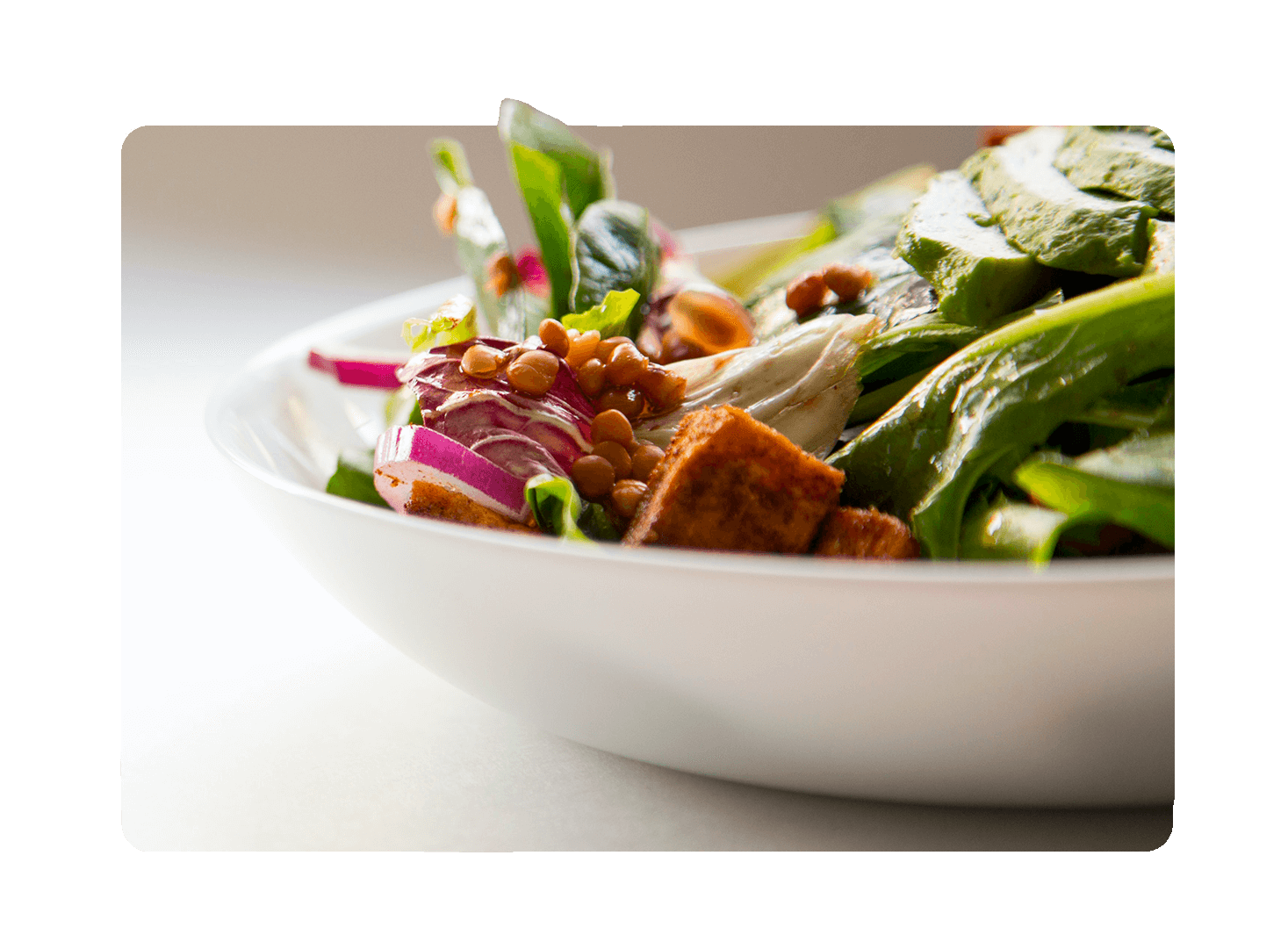 vegan-accueil-le-dix-neuf-restaurant-dix9-dixneuf-cap-d-agde-herault-occitanie-bord-de-mer-golf